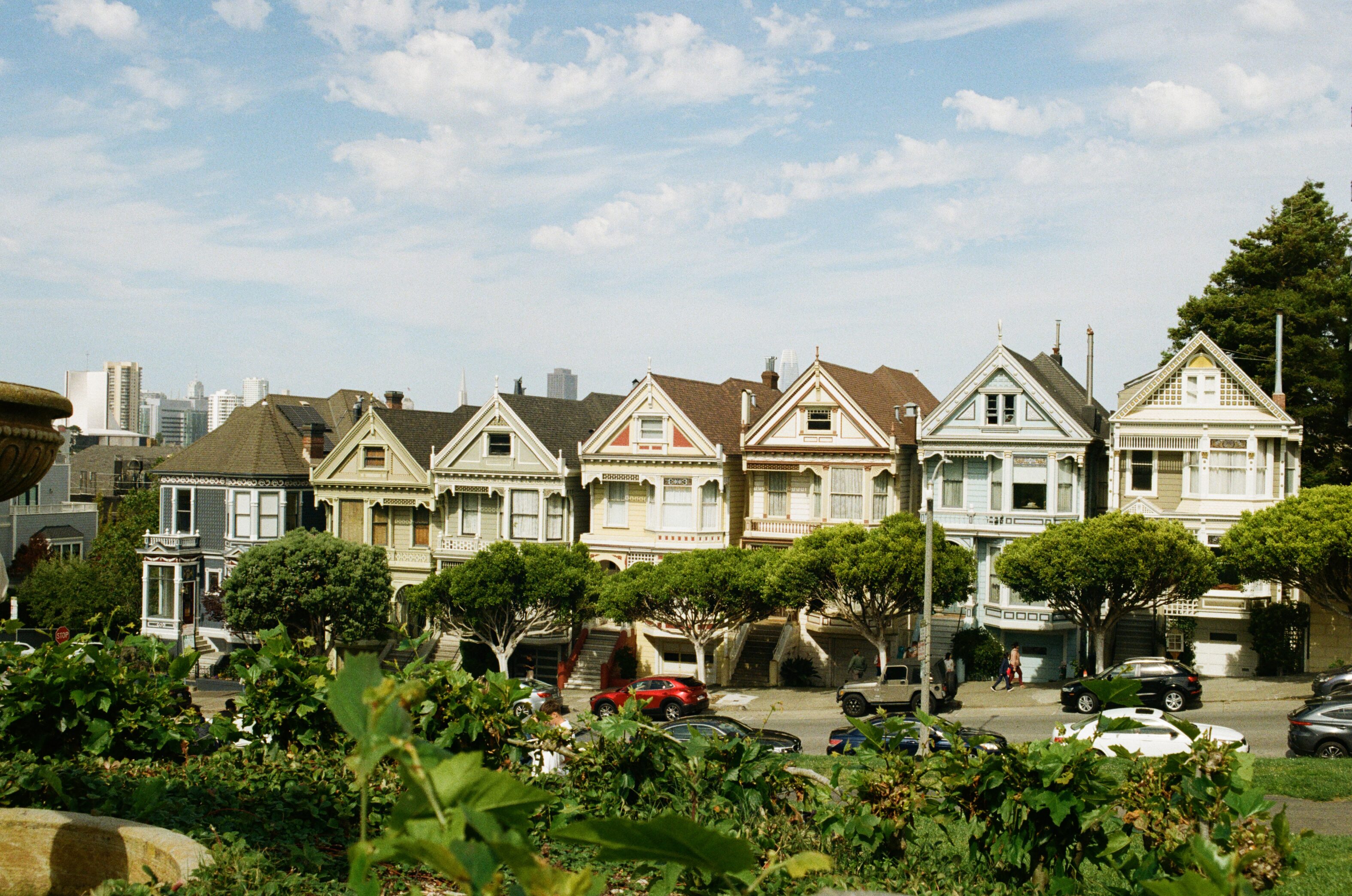 Painted Ladies